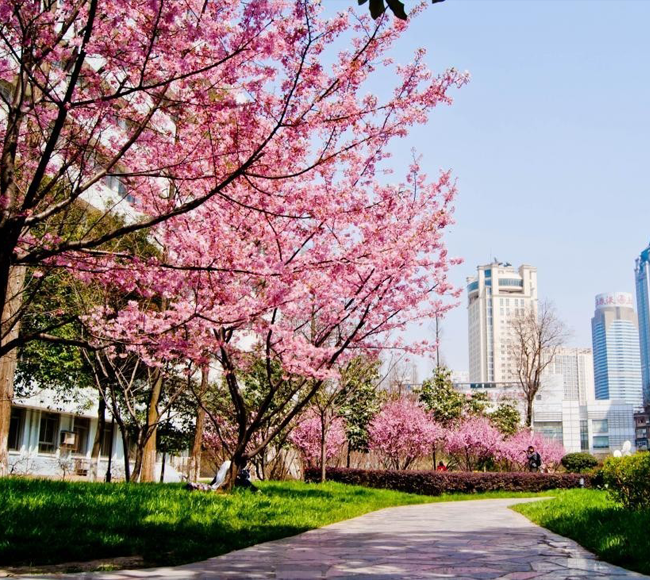 Spring Campus
