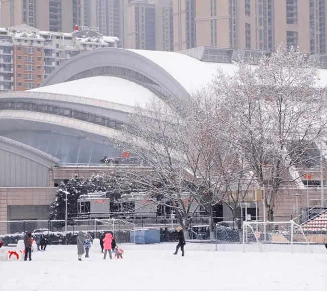 Winter Campus